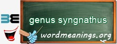 WordMeaning blackboard for genus syngnathus